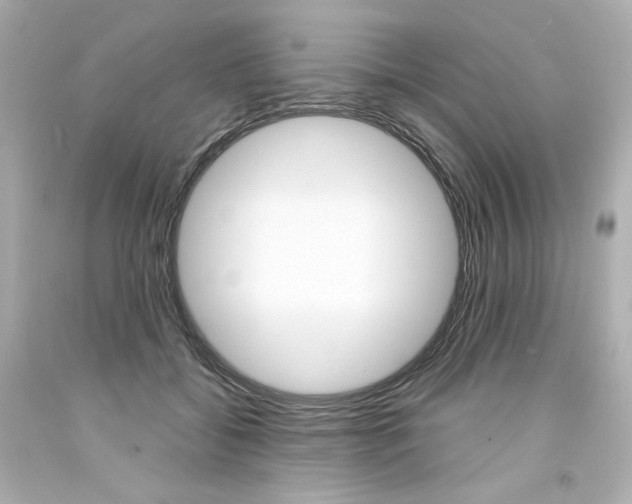 X0000094350556200711021316