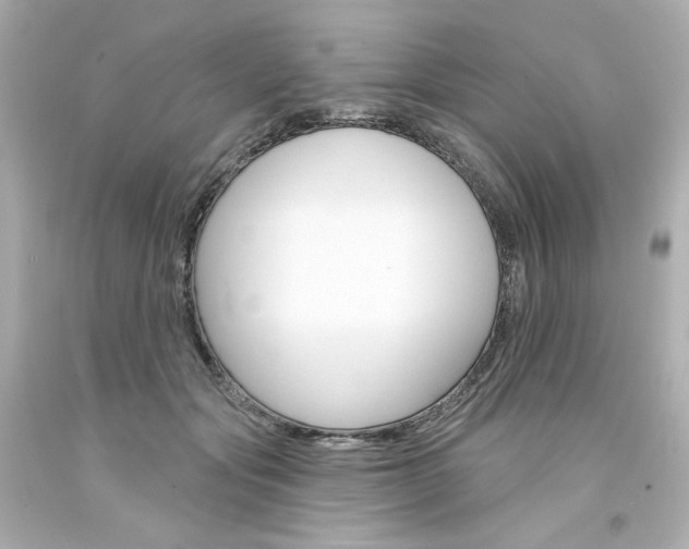 X0000094350557200711021316
