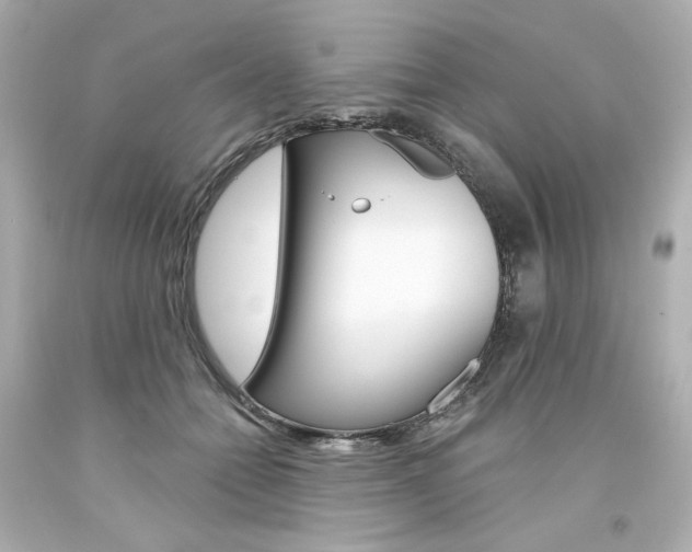 X0000094350558200711021316