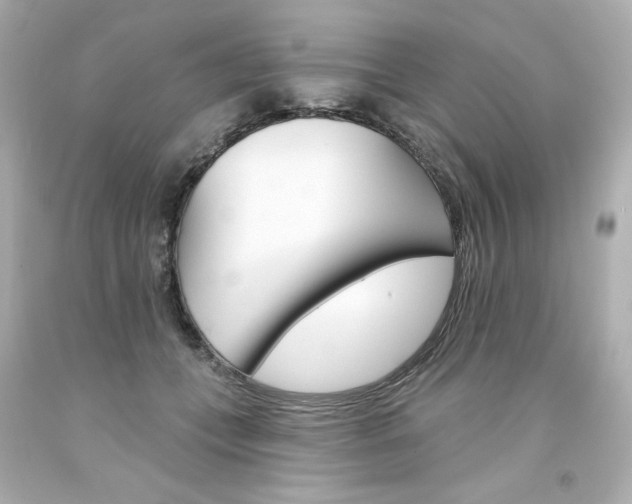 X0000094350559200711021316