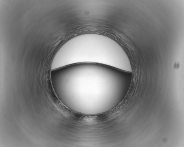 X0000094350560200711021316