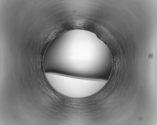 X0000094350562200711021316