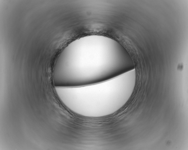 X0000094350563200711021316
