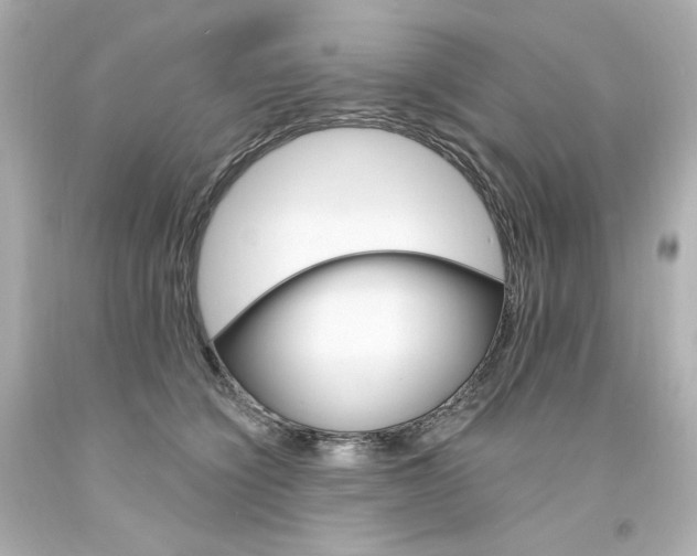 X0000094350564200711021316