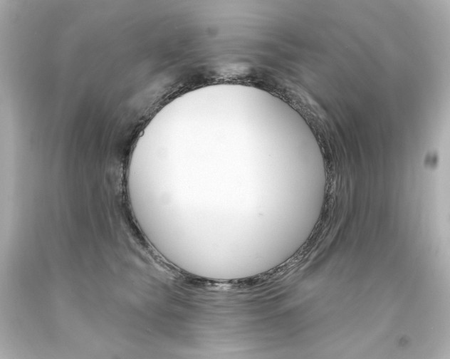 X0000094350565200711021316