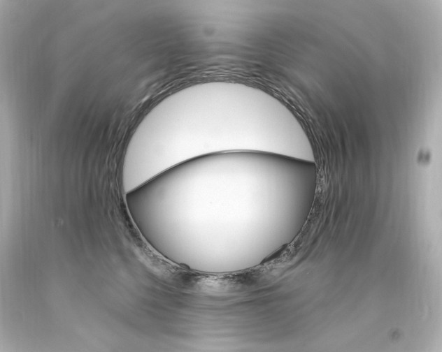 X0000094350568200711021316