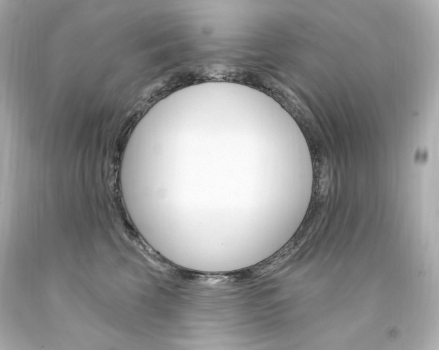 X0000094350569200711021316