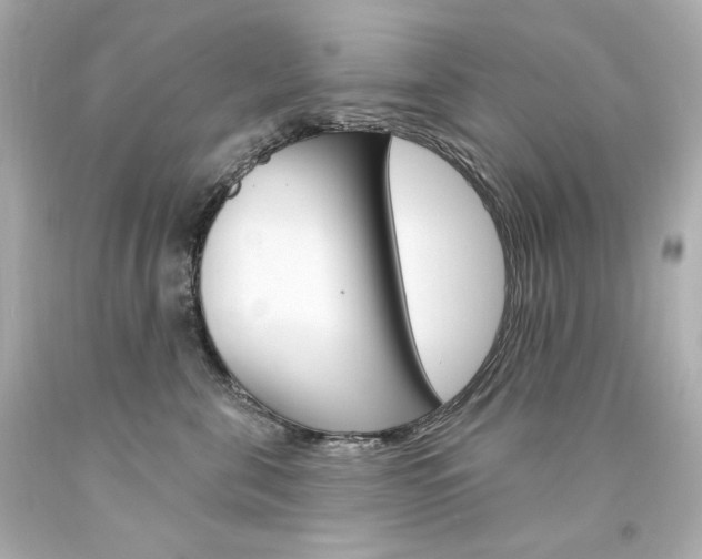 X0000094350571200711021316