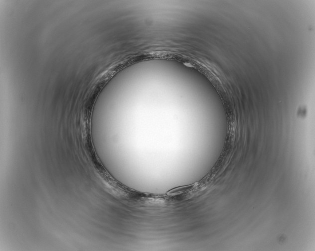 X0000094350572200711021316