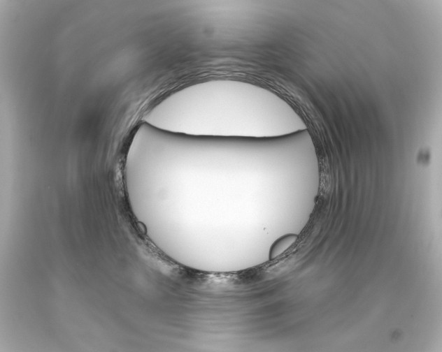 X0000094350573200711021316