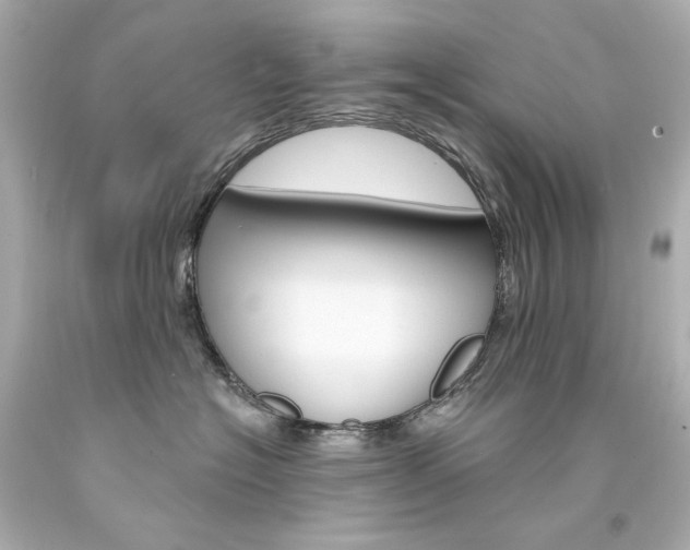 X0000094350574200711021316