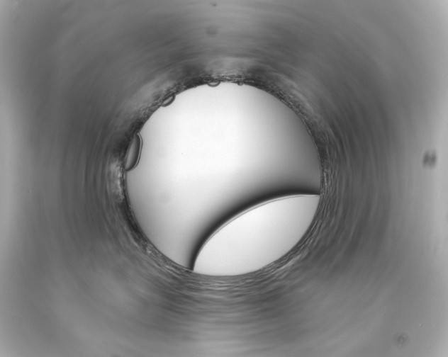 X0000094350575200711021316
