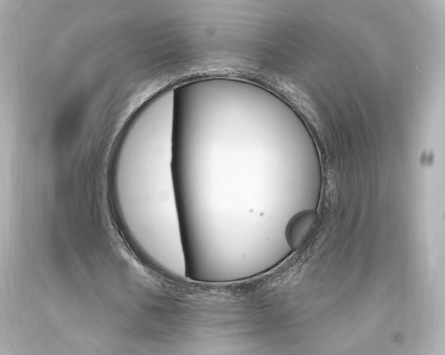 X0000094350578200711021315