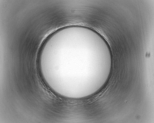 X0000094350579200711021315