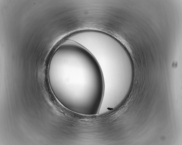 X0000094350580200711021315