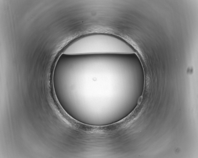 X0000094350581200711021315
