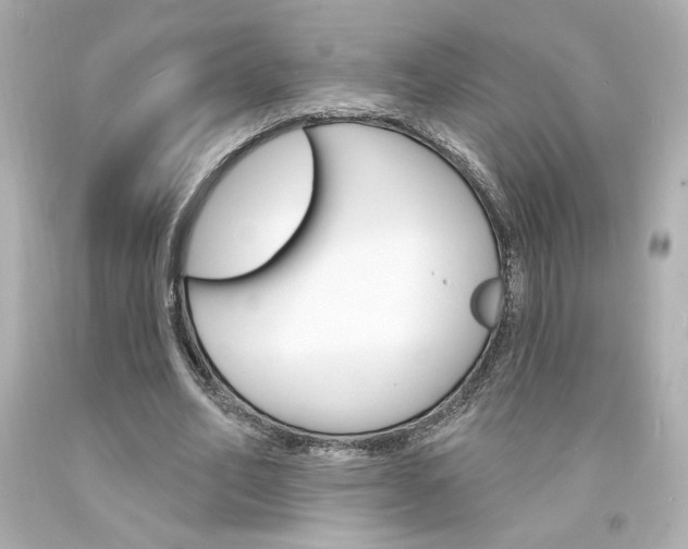 X0000094350582200711021315