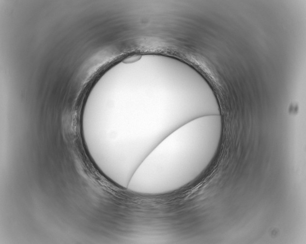 X0000094350583200711021315