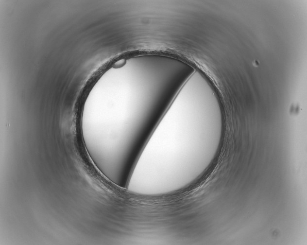 X0000094350584200711021315