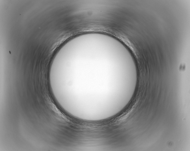 X0000094350585200711021315