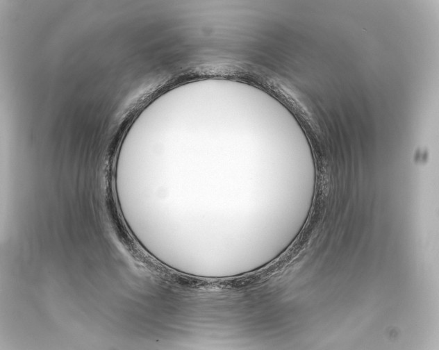 X0000094350586200711021315