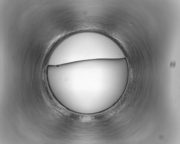 X0000094350587200711021315