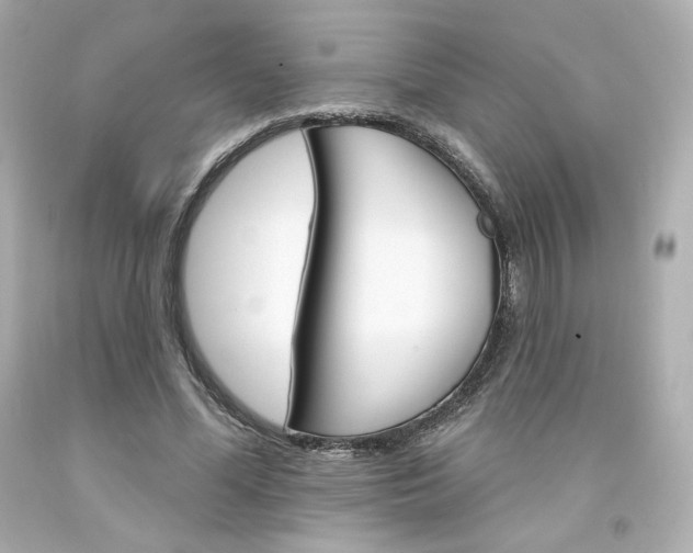 X0000094350588200711021315