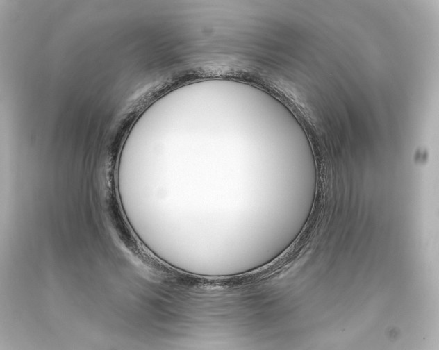 X0000094350590200711021315