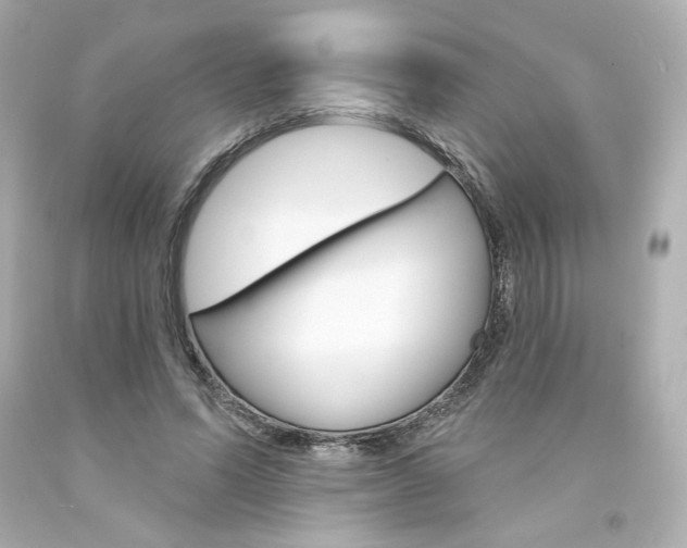X0000094350591200711021315