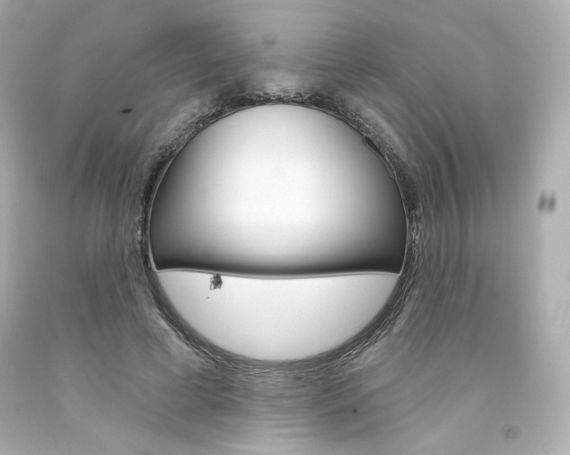 X0000094350593200711021315