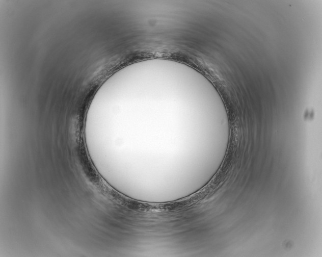 X0000094350594200711021315