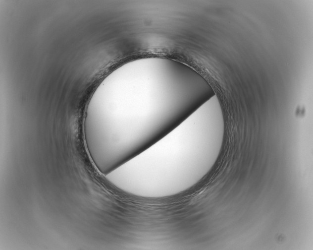 X0000094350595200711021315
