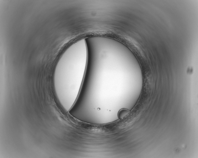 X0000094350596200711021315