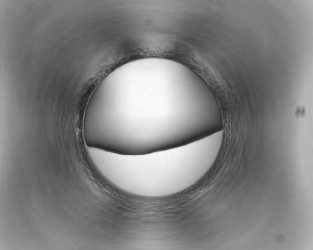 X0000094350599200711021315