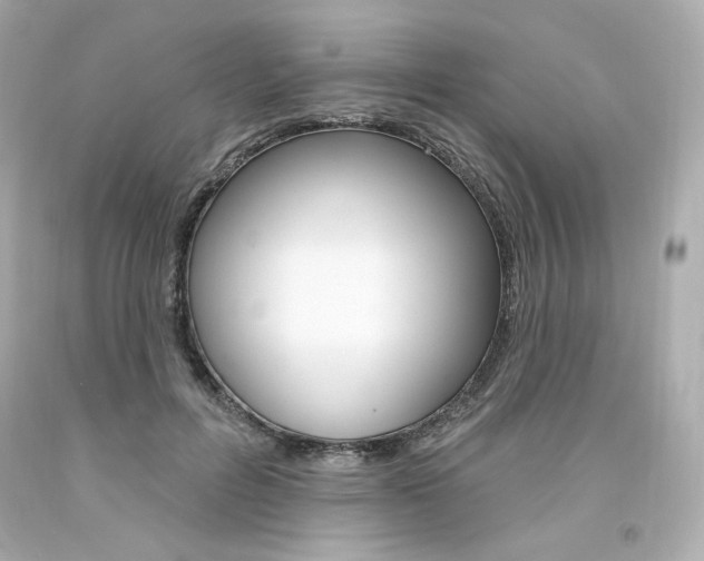 X0000094350600200711021315