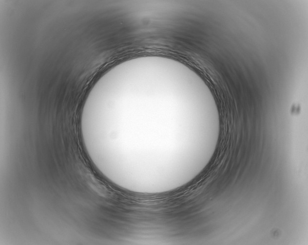 X0000094350601200711021315