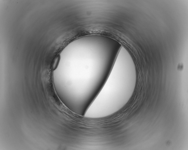 X0000094350604200711021315