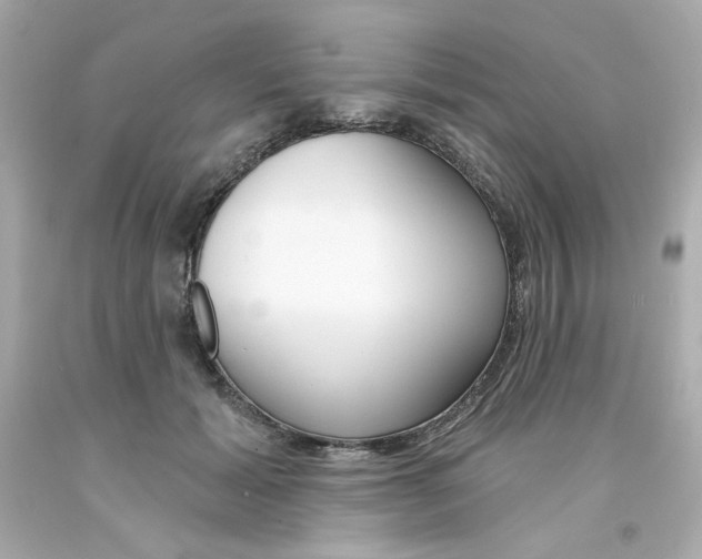 X0000094350605200711021315