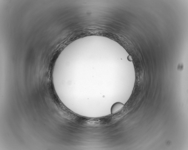 X0000094350606200711021315