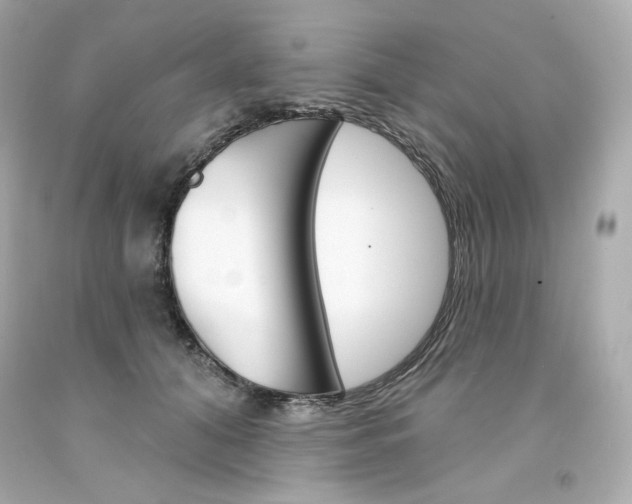 X0000094350608200711021315
