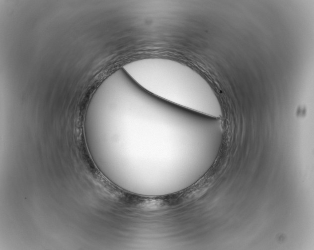 X0000094350609200711021315