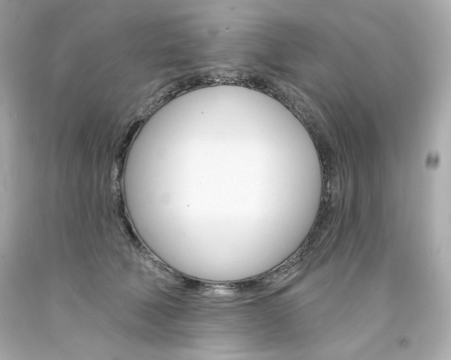 X0000094350610200711021315