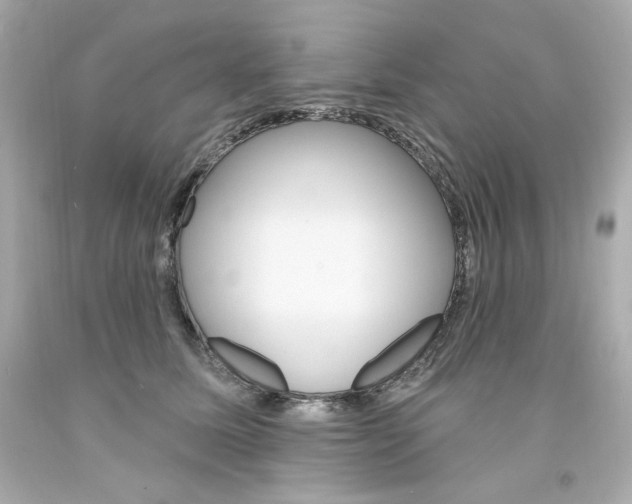 X0000094350611200711021315
