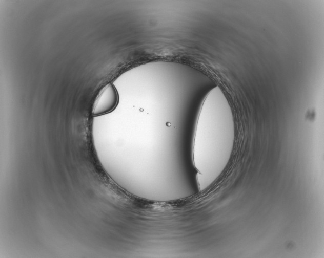 X0000094350612200711021315