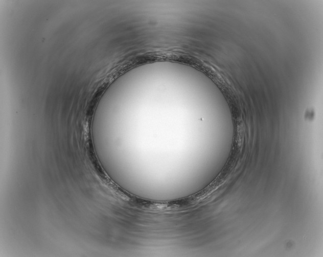 X0000094350613200711021315