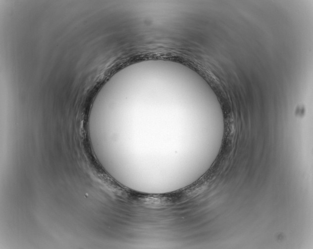 X0000094350615200711021315