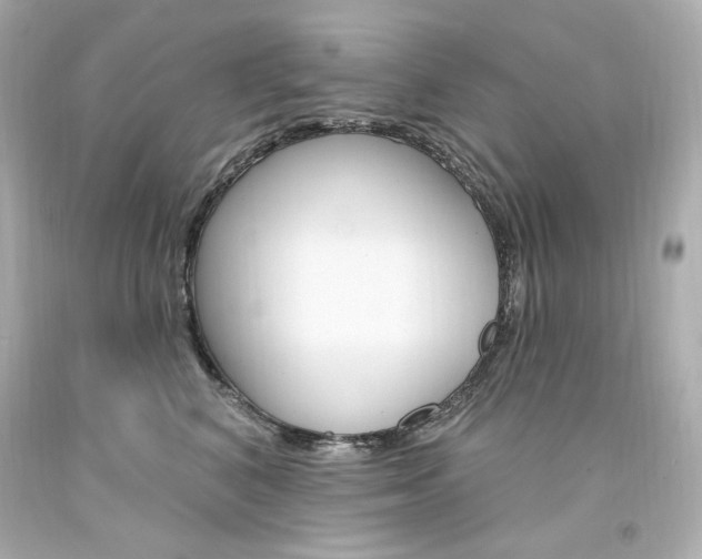 X0000094350616200711021315