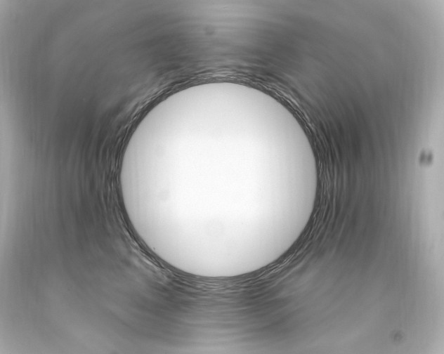 X0000094350617200711021315