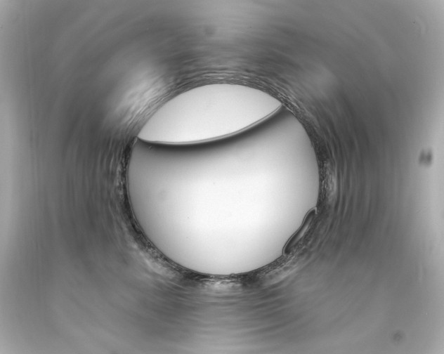 X0000094350619200711021315