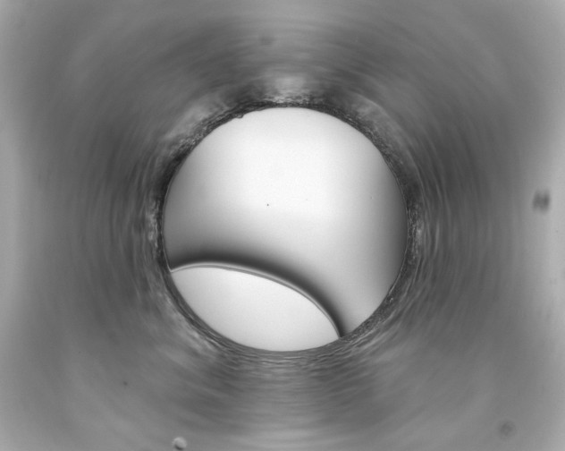 X0000094350620200711021315
